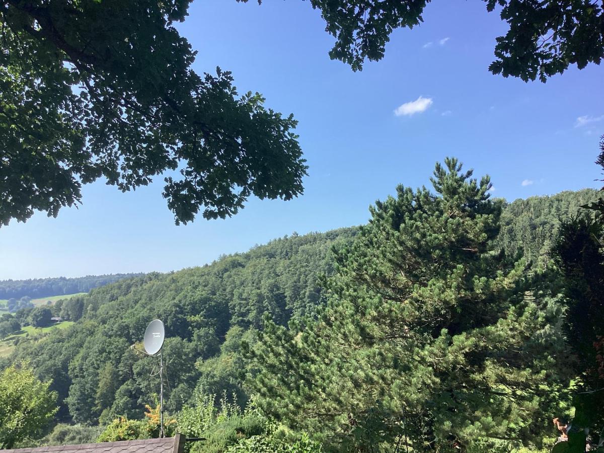 Chalet Spessart Dammbach 外观 照片