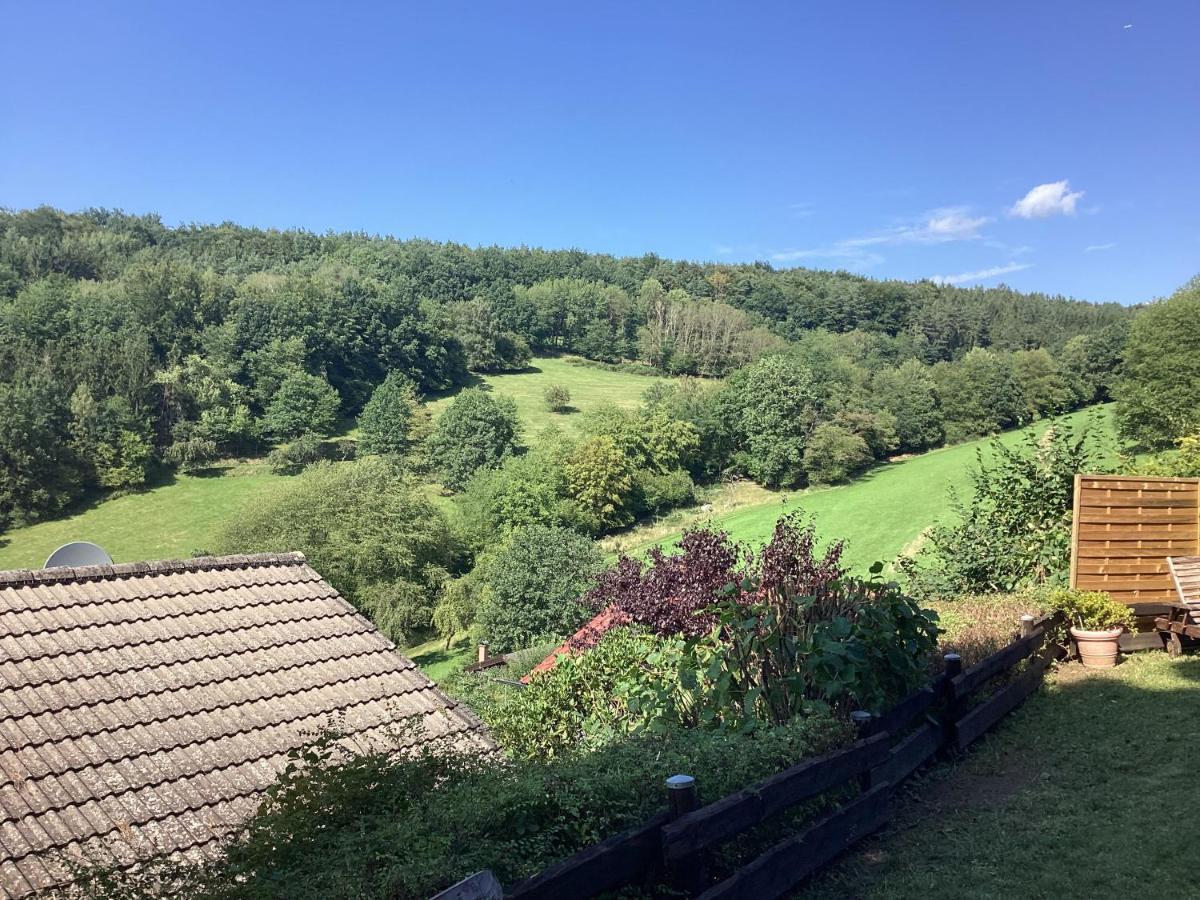 Chalet Spessart Dammbach 外观 照片