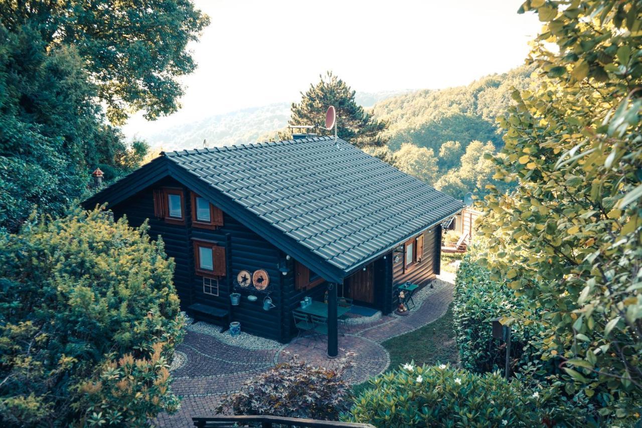 Chalet Spessart Dammbach 外观 照片